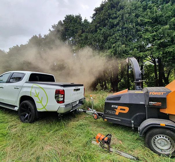 How Tree Care Can Improve Your View
