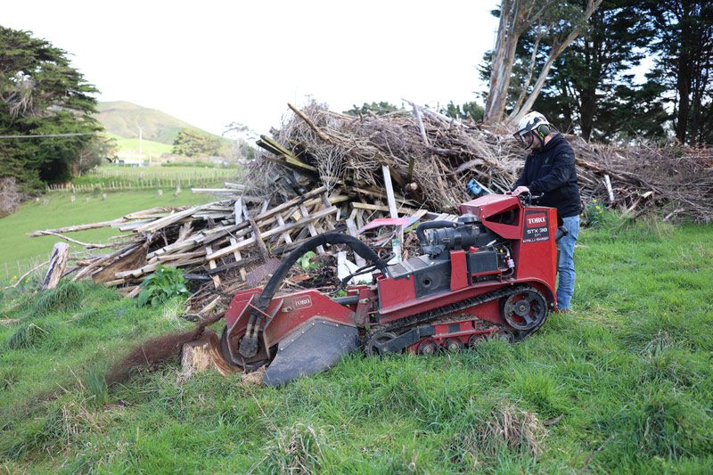 Four Reasons Why You Should Leave Tree Stump Removal To The Experts