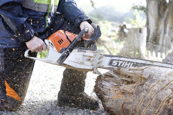 Why Hiring a Professional Arborist is Important